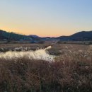 약산 태양광발전소 이미지