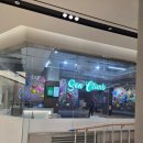 다이나믹짐 | 을지로 클라이밍 맛집! 주말 오후에 다녀온 다이나믹한 '을지로 손짐' 리얼 후기