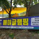 캠프에이 이미지
