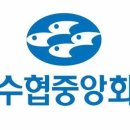 169 이미지