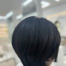 지축보그헤어 이미지