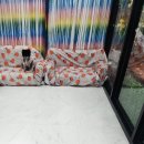 까미애견샵 이미지