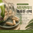 메타본엔터테인먼트 주식회사 | 메타웰 식단관리요세이코, 일본 루틴 잡아본 일주일 후기