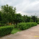 부산수목전시원 이미지