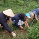 채련농장 이미지