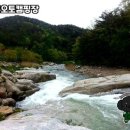 월성오토캠핑장 | 경남 거창 월성오토캠핑장, 여름 피크닉의 최적지!