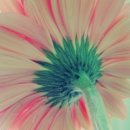 티아라스킨케어 이미지