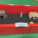 진소농장 이미지