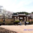 신암면038 티스토리
