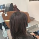 머리잘하는 에코레비헤어 해운대 마린시티점에서 레이어드컷 후기!