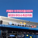 에덴수족관