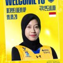 품에 이미지