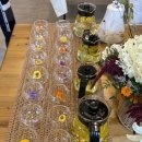 경상북도 청도교육지원청 | [프로그램] 경상북도 청도교육지원청 WEE프로그램 협의회