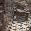 은애농장 이미지