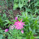 토골농장 이미지