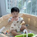 아이팜쥬스 | [육아기록] 생후593-594일, 홈플 트니트니 7주차 우리집 척척박사/가을옷쇼핑/두리 아기변기