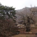 둔포약국 이미지