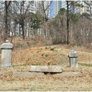 안산김씨 사재감정공파 묘역 이미지