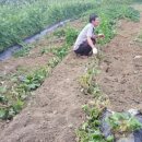 노현마을 이미지