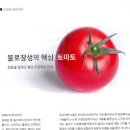 당뇨식이요법 토마토 과 알레르기 알아보기 이미지