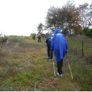 와우2리 이미지