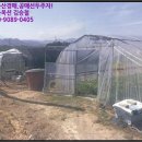 용흥보건진료소 이미지