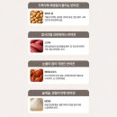 부루 | 펫마당 배부루다 후기, 저알러지사료 찾는 분들께 진심으로 추천!