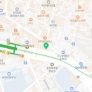 대구 고양이분양 캣갤러리 이미지