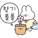 강동백농장 네이버블로그