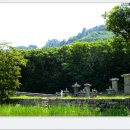 땅끝천년숲옛길 이미지