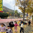 🍂가을 산책길🍂 이미지