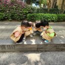 어울림숲어린이집 이미지