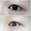 성광목욕탕 | 노원속눈썹펌 비마인뷰티 무쌍 속눈썹펌 잘하는 곳, 관리법(세안 마스카라 뷰러)