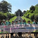 디자인고도