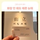 퍼플래쉬 | 뷰러없이 또렷한 눈매, 동탄 그랑파사쥬 이립래쉬 속눈썹펌 후기