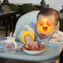 중화요리 왕짜장앞 | 제주홍콩식중화요리 '화란' 동파육덮밥·우육면 후기 | 제주 중식 맛집 추천