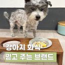 와락펫푸드 이미지