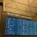 마닐라 여행일기 1일차 (인천공항 / 세부퍼시픽 / Power plant mall / Manam / 졸리비 그랩 배달)