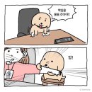 [6월]-2. 여기서 약해지면 아니 되옵니다!
