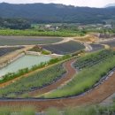 무성농장 이미지