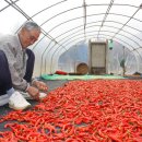 주천1리 이미지