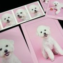 온새미로 아토 이미지