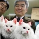 (주)아라바이오