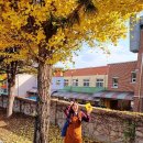 반계초등학교 이미지