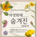 아침고요 이미지