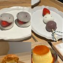 로프트관광호텔 | 끝내는 도쿄 4박 5일 후기 (도쿄돔, 미즈노, 펜더플래그쉽스토어, 스카이트리, 긴자, 알몬트호텔니포리+)