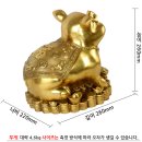 황금부자샵 이미지