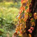 개포4-102 이미지