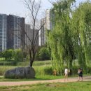 에코당구클럽 이미지