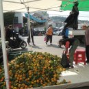 여수서시장주변시장 이미지